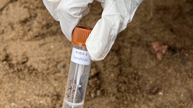 Någon håller i ett provrör med texten"Sandlåda".