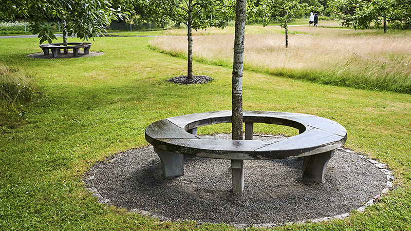 Rund bänk runt ett träd i park