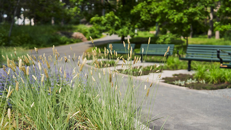 Kulturhusparken i Handen