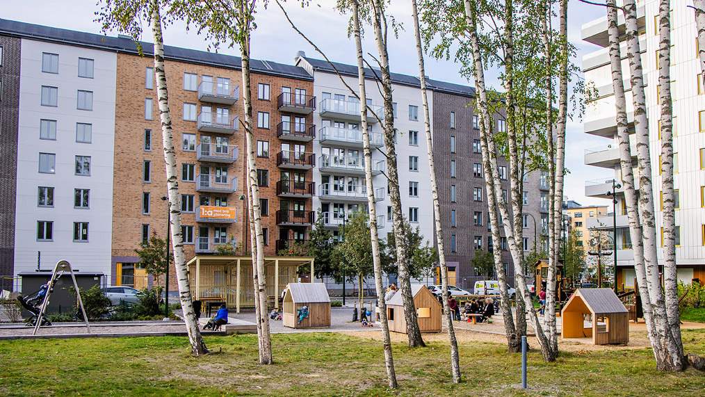 Överblick lekplats med lekhus och klätterställning omgiven av björkar