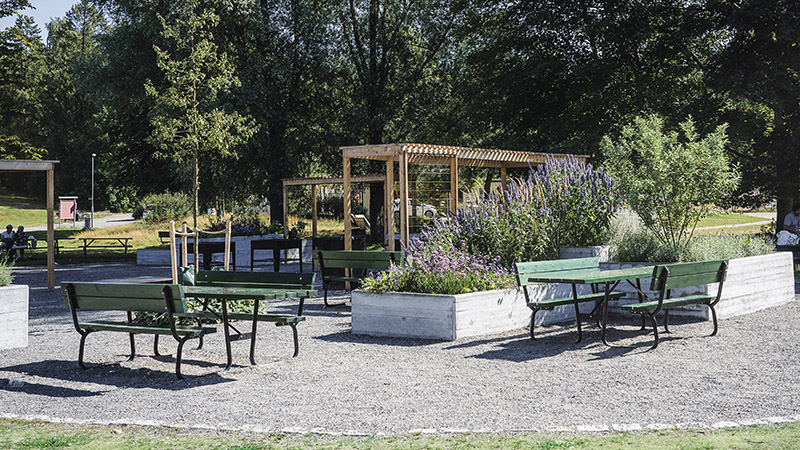 Köksträdgården i Höglundaparken