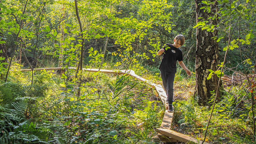 Pojke som balanserar på en spång i en grön skog